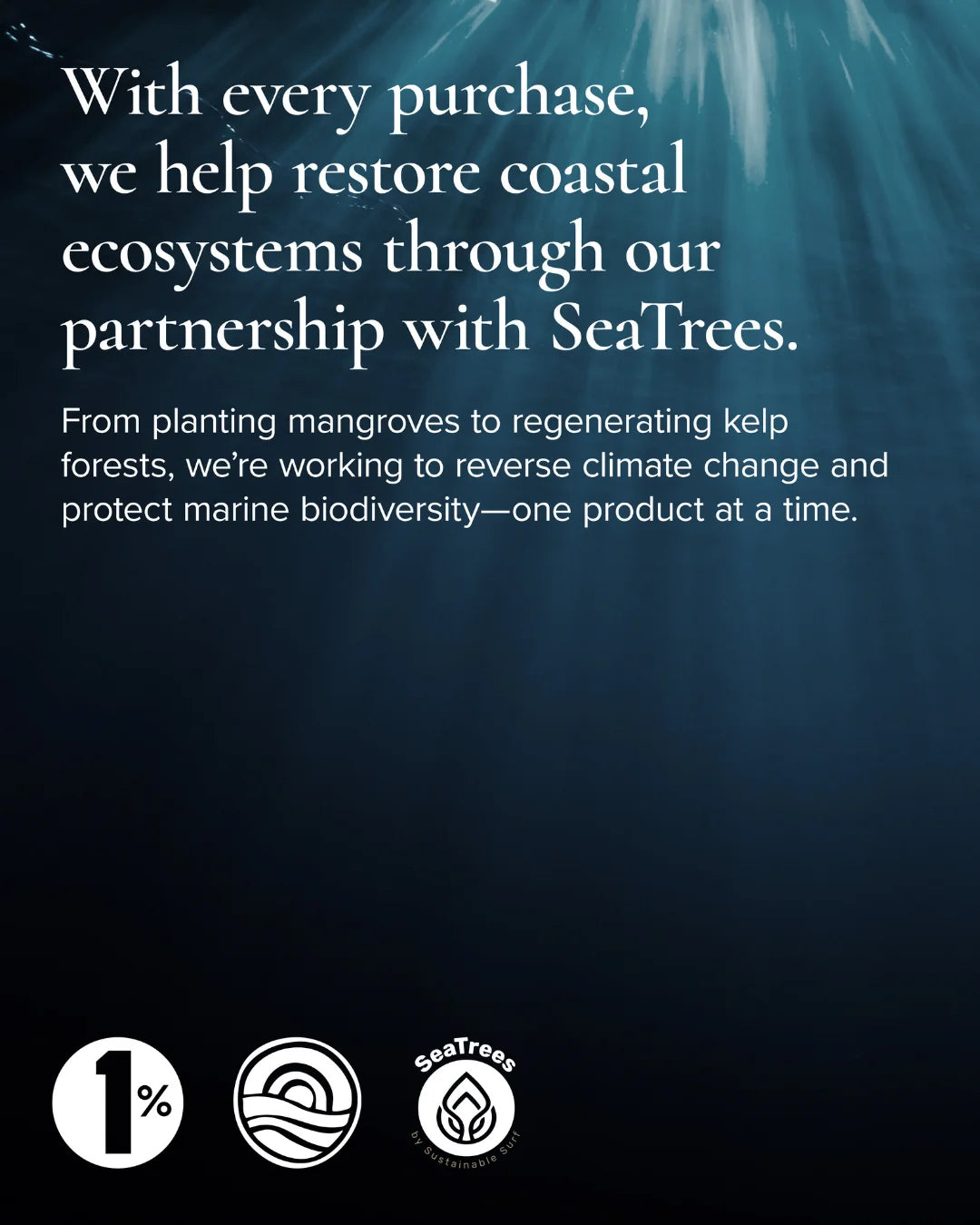 Sea Sculpt Body Oil